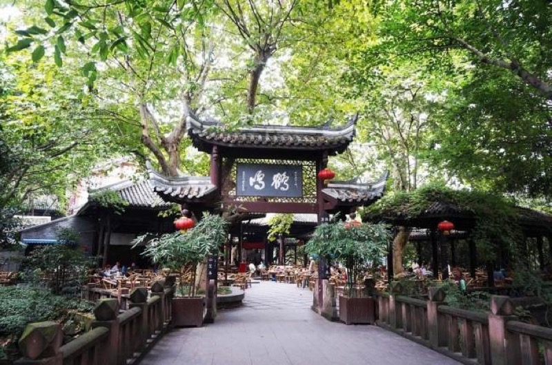 11 Best Tea Houses in Chengdu