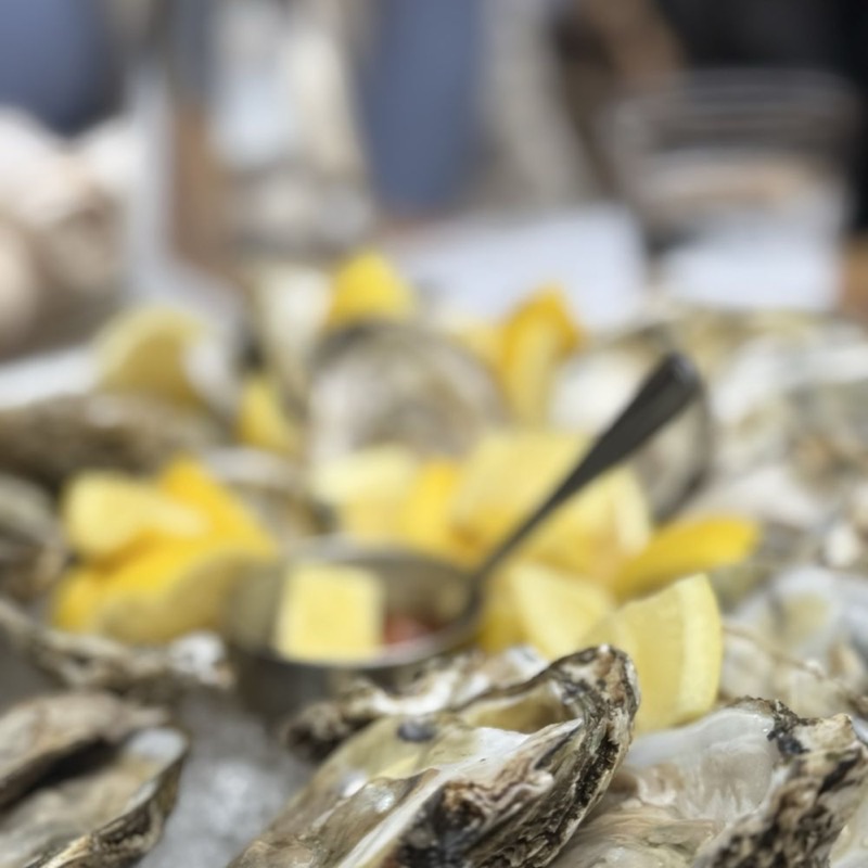 Volo Restaurant Wine Bar in Roscoe Village — Volo offers a charming and romantic escape with its award-winning outdoor patio 