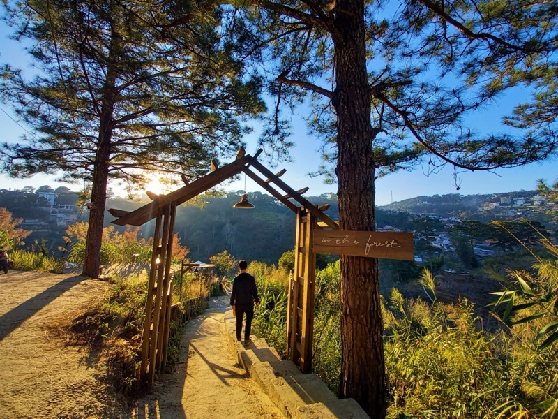 In The Forest cabin cafe Da Lat