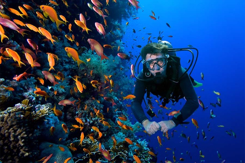 Gabr el Bint dive site near Dahab — pristine untouched reef