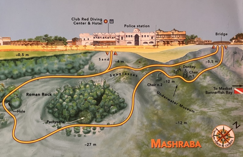 Mashraba dive site in Dahab — house reef with spectacular macro life