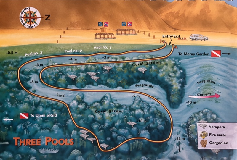 Three Pools dive site south of Dahab — shallow beginner diving spot