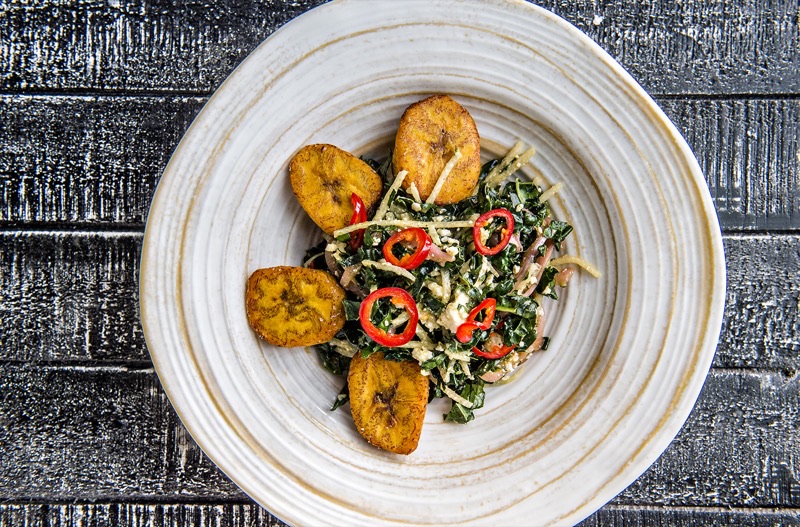 Bang Up to the Elephant! in Capitol Hill — Step into a tropical paradise at Bang Up to the Elephant!, Denver's vibrant vega