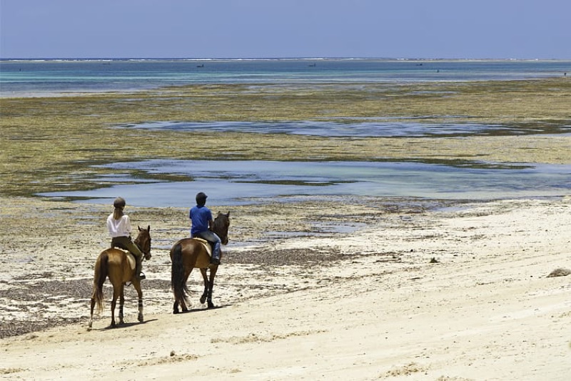 Kinondo Kwetu in Galu Beach (South Diani)