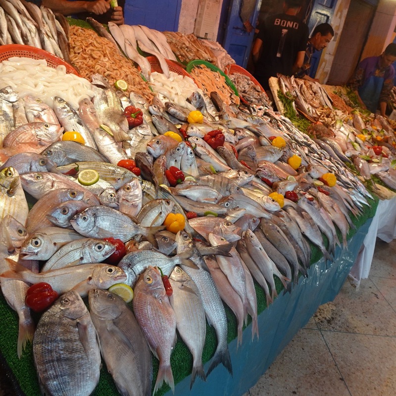 Essaouira fish market inside the medina Morocco