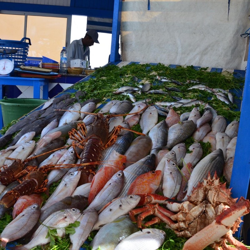 Hidden Medina Fish Souk in Near Souk Jdid (Rue Souk Jedid area)