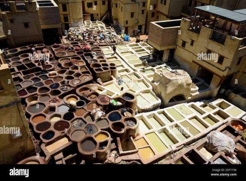 Dar Dbagha Tannery in Fez, Morocco