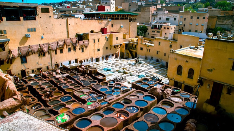 9 Best Tannery Viewpoints in Fez