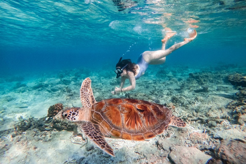 12 Best Snorkeling Spots in the Gili Islands