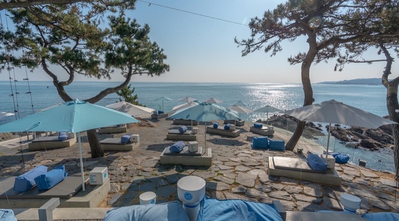 Waveon Coffee overlooking the ocean in Gijang, Busan