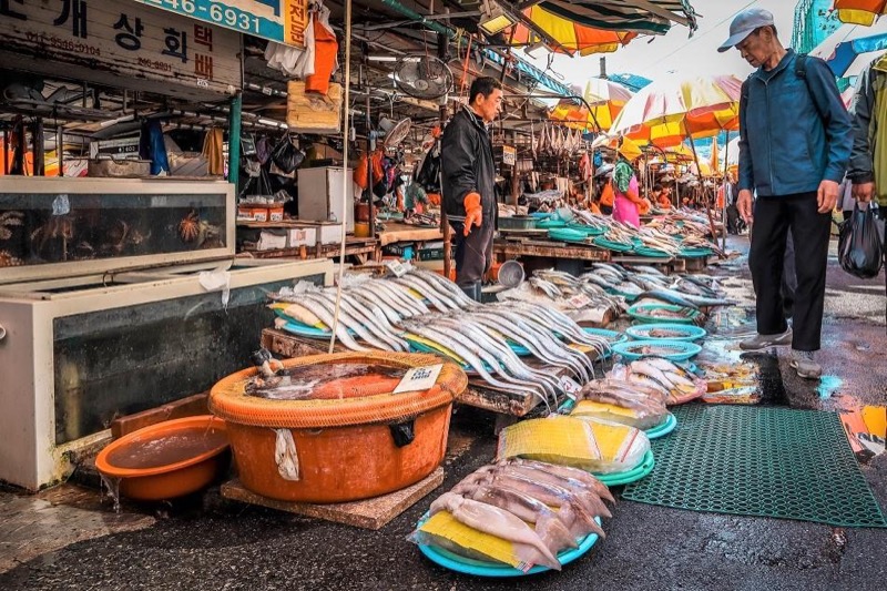 15 Best Seafood in Jagalchi Market & Busan
