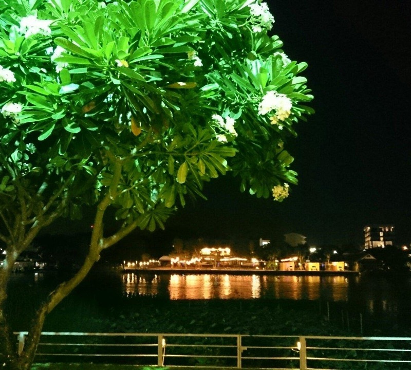 Blue Rice Riverside Bar at night in Kanchanaburi