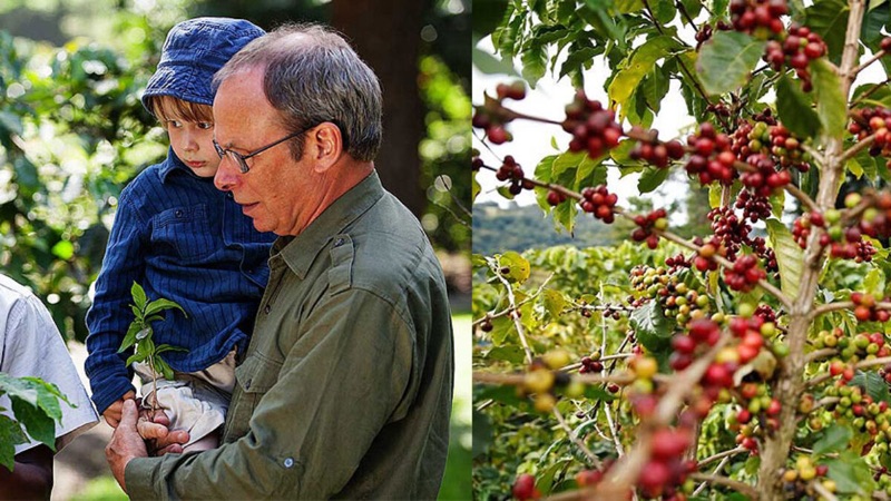 Kahawa Shamba coffee farm near Moshi Tanzania — bean to cup community tour