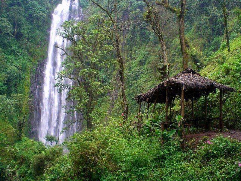Marangu coffee and waterfall tour on Kilimanjaro — combined cultural experience