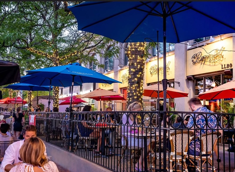 Pepperwood in Kingston, Jamaica