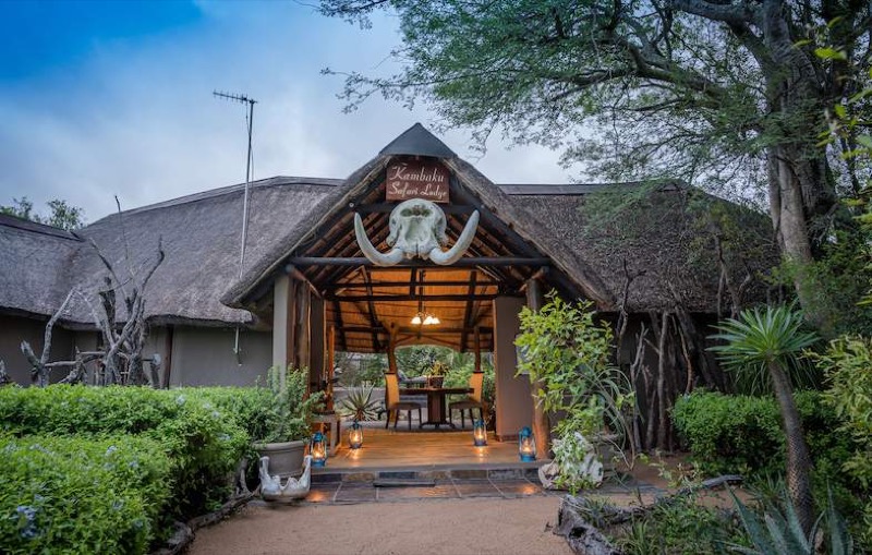Kambaku Safari Lodge in Timbavati near Kruger