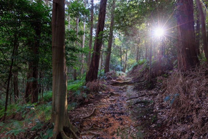 Kyoto Isshu Trail (Higashiyama Section) in Higashiyama
