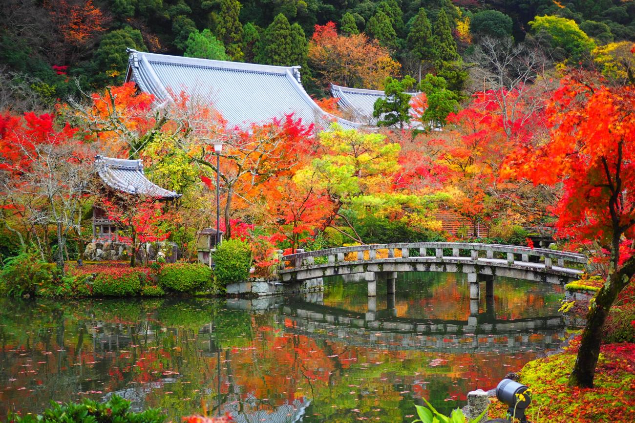 Eikan-dō (Zenrin-ji) in Higashiyama, near Philosopher's Path