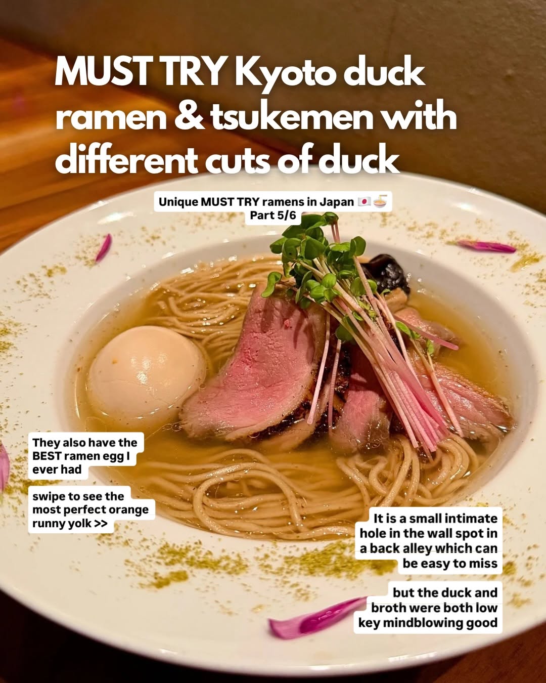 Gion Duck Noodles in Kyoto