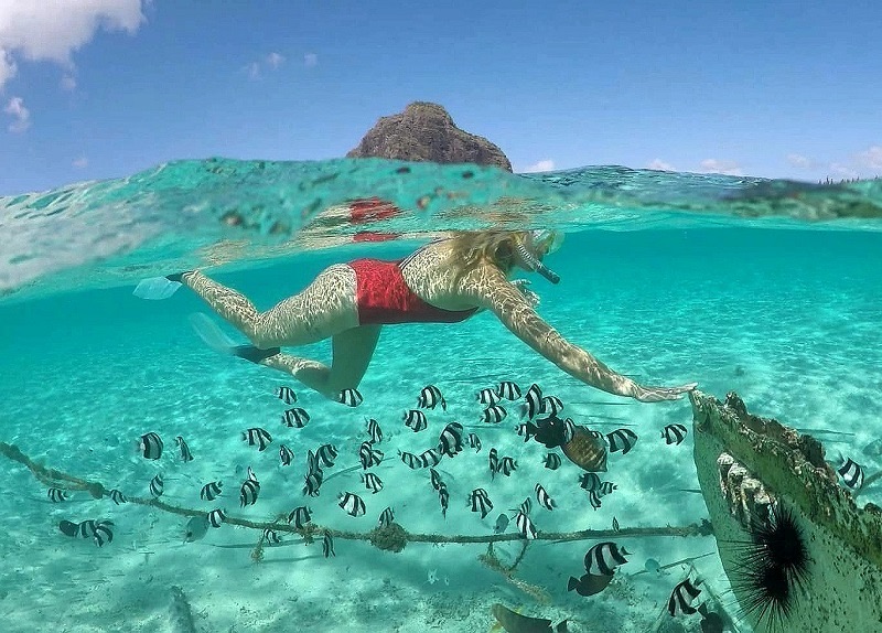 Snorkeling at Le Morne Paradis Spot, Mauritius