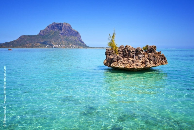 Le Morne Public Beach snorkeling, Mauritius