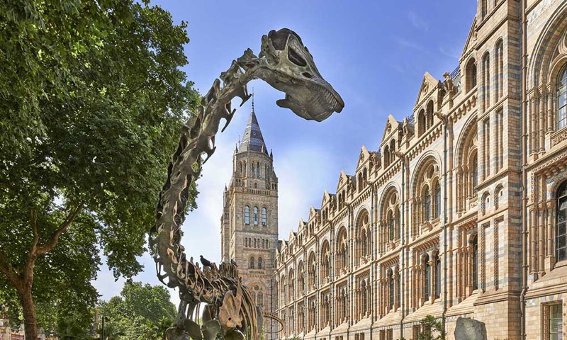 Natural History Museum in South Kensington, London