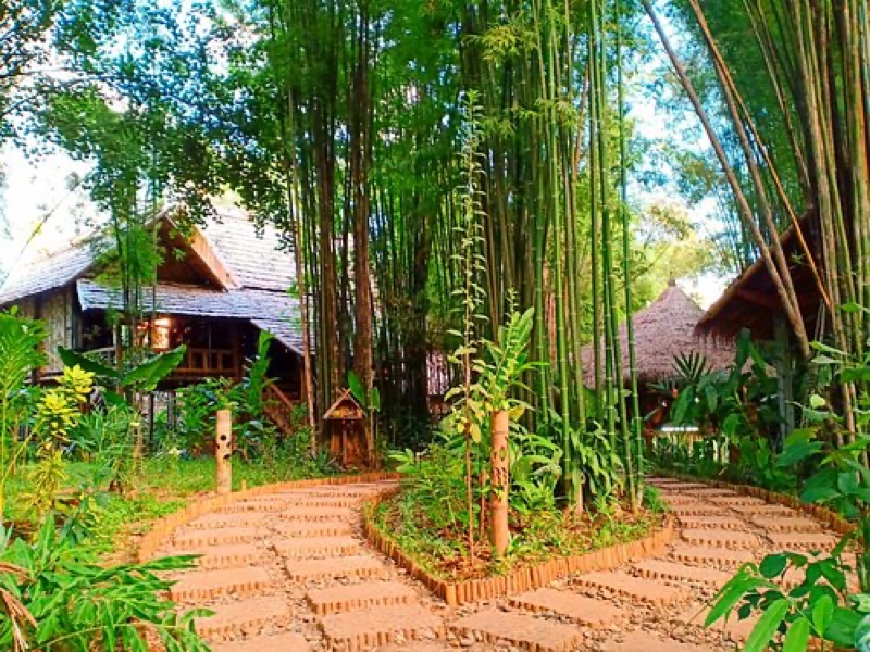 Bamboo Bio Restaurant Luang Prabang with Lao papaya salad