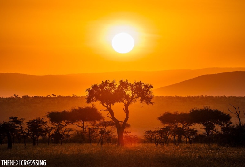 Best Safari Lodges in Maasai Mara