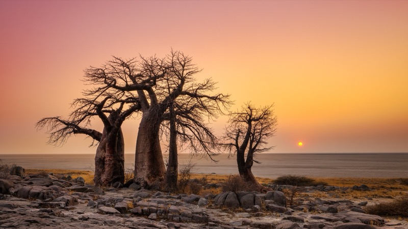 Kubu Island (Lekhubu Island) in Southwest shore of Sowa Pan