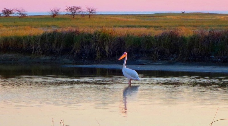 Nata Bird Sanctuary in Northern shore of Sowa Pan, Nata village