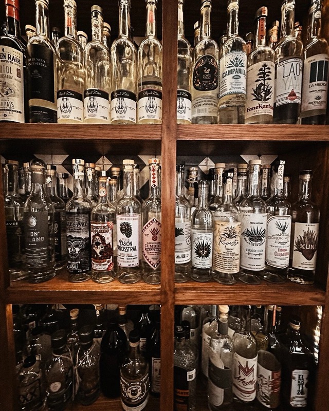 Casa Murciélago in Coyoacán