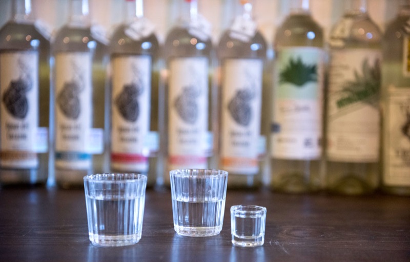 Mis Mezcales in Roma