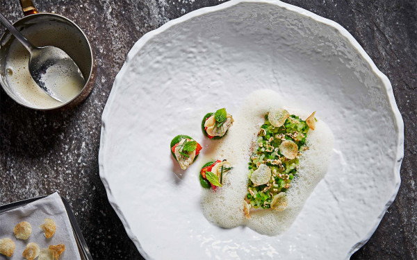 Stubborn Seed in South Beach — A Michelin-starred restaurant celebrated for its creative, seasonal, and chef-dr