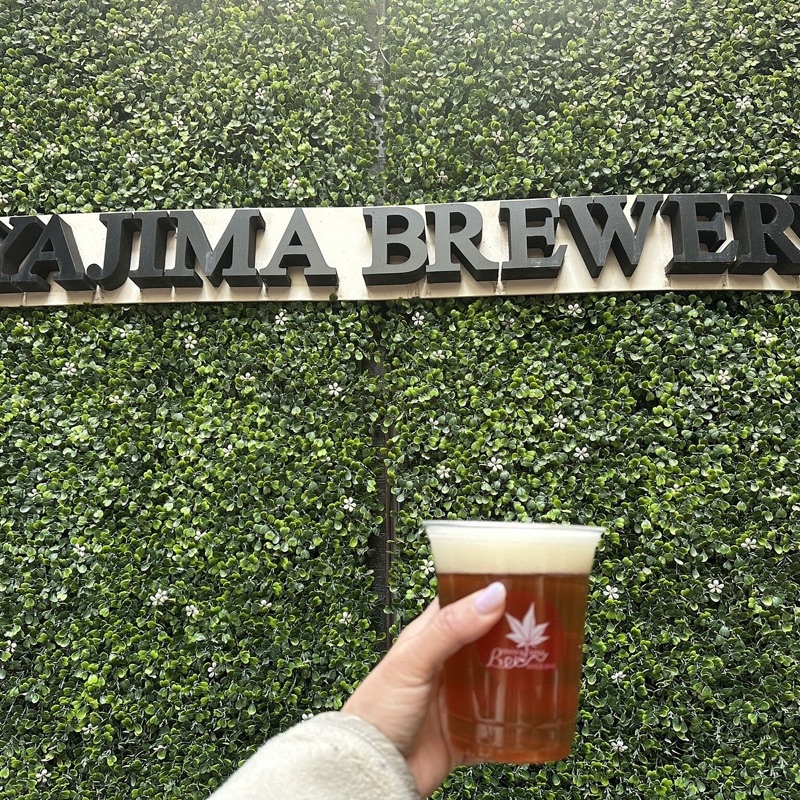 Miyajima Brewery craft beer