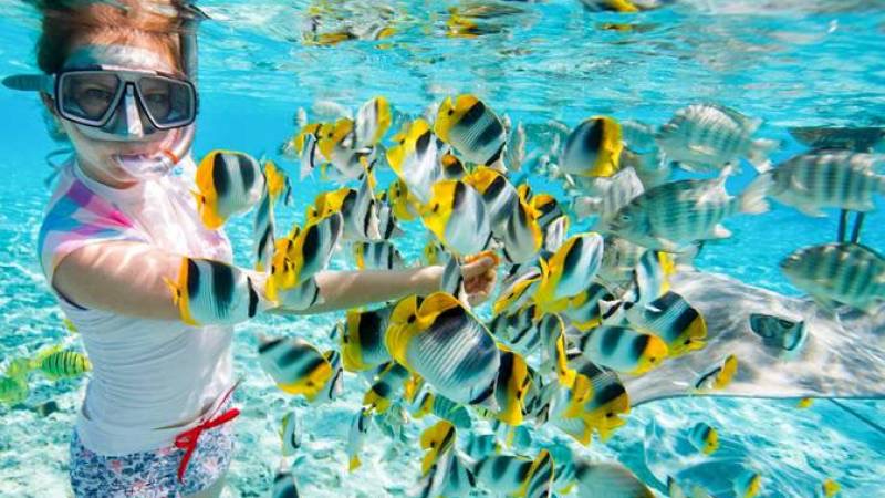 Snorkeling at Bawe Island reef, Zanzibar