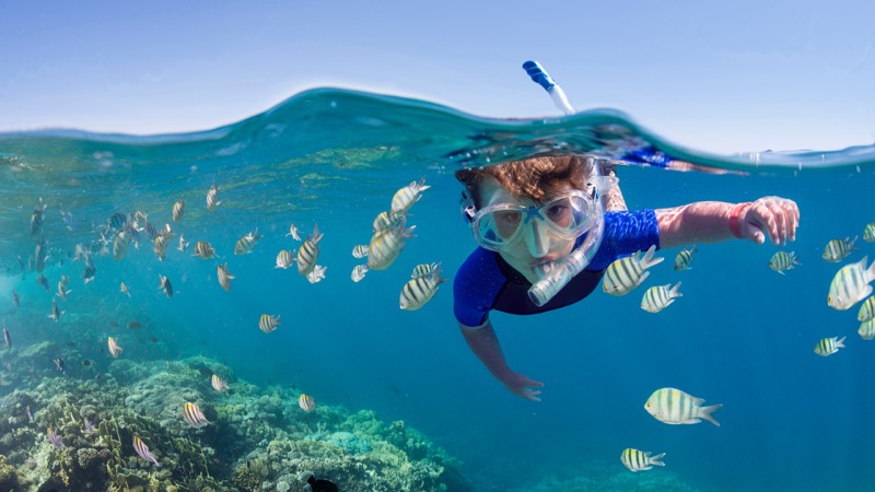 9 Best Snorkeling Spots in Mnemba Atoll