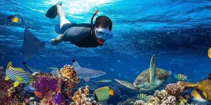 Snorkeling at Tumbatu Island, Zanzibar