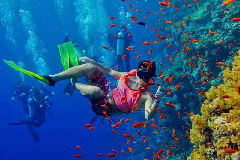 Wattabomi coral garden at Mnemba Atoll, Zanzibar