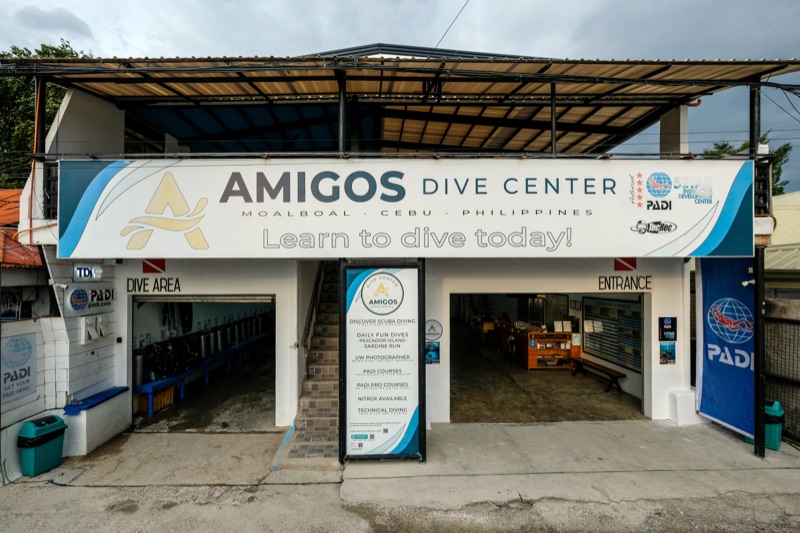 Amigos Dive Center Moalboal sardine run
