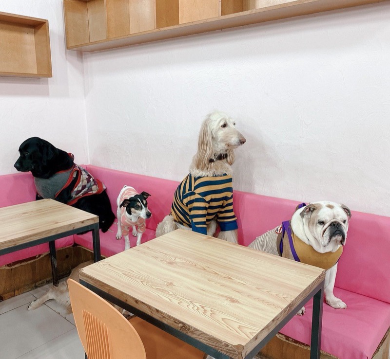 Cafe Gaene in Myeongdong, Seoul