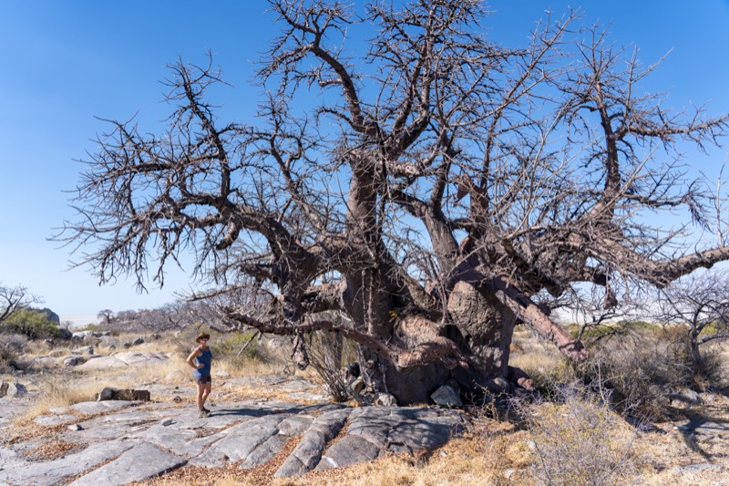 Kukonje Island in Deep within Sowa Pan, western section