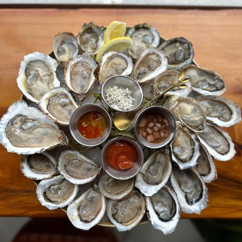 Herbsaint Restaurant in Central Business District — Chef Donald Link's flagship restaurant, Herbsaint, offers an elegant, award-winn