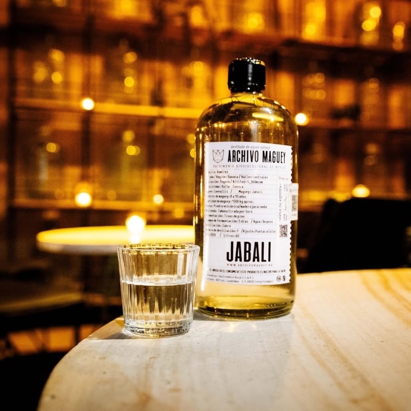 Archivo Maguey in Oaxaca