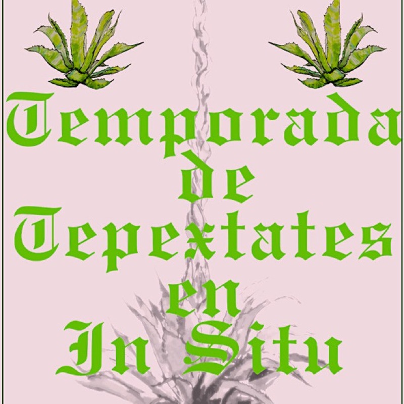 In Situ Mezcalería in Oaxaca