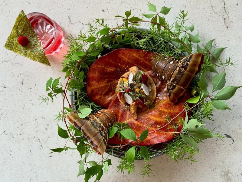 Selva (at Los Danzantes) in Oaxaca