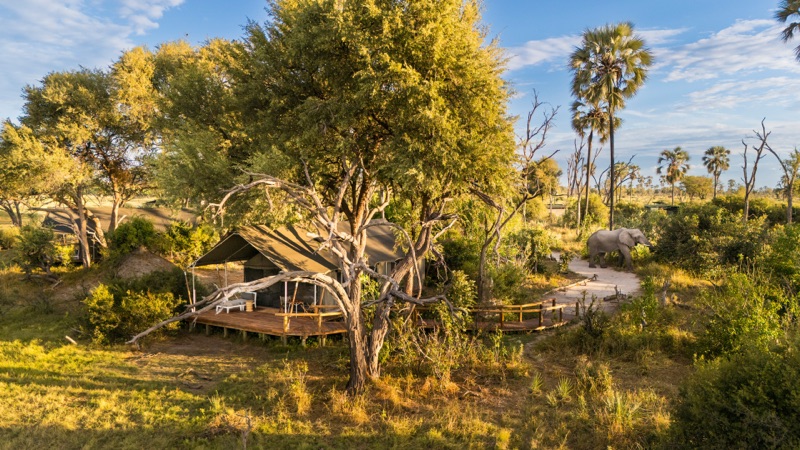 Gomoti Private Camp (Machaba Safaris)