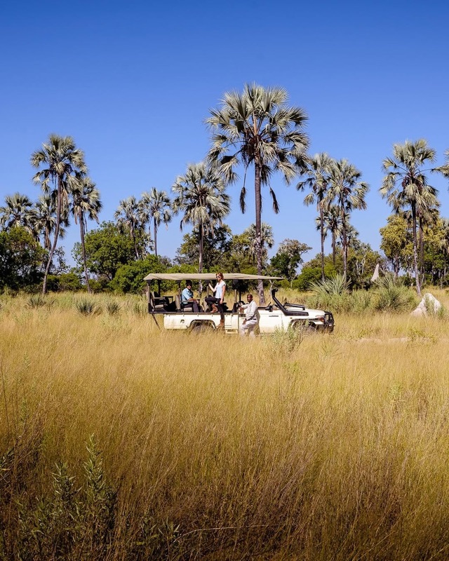Okavango Explorers Camp (Great Plains Conservation)