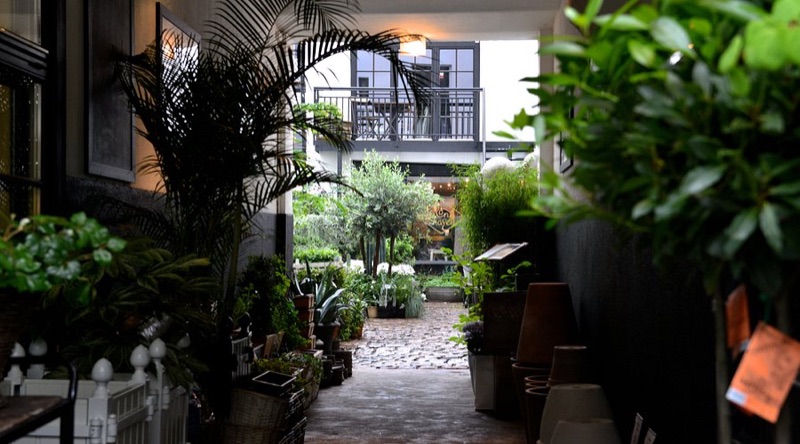 Kolonihagen organic brunch in Frogner Oslo