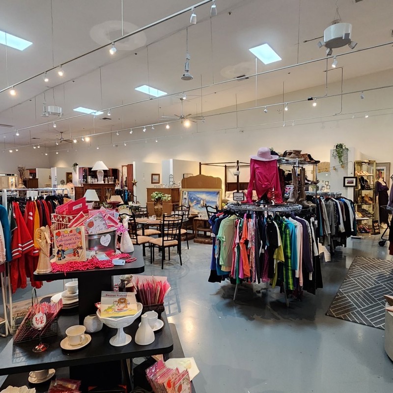 Savers in North Phoenix — Savers is a popular chain thrift store known for its vast inventory and organize