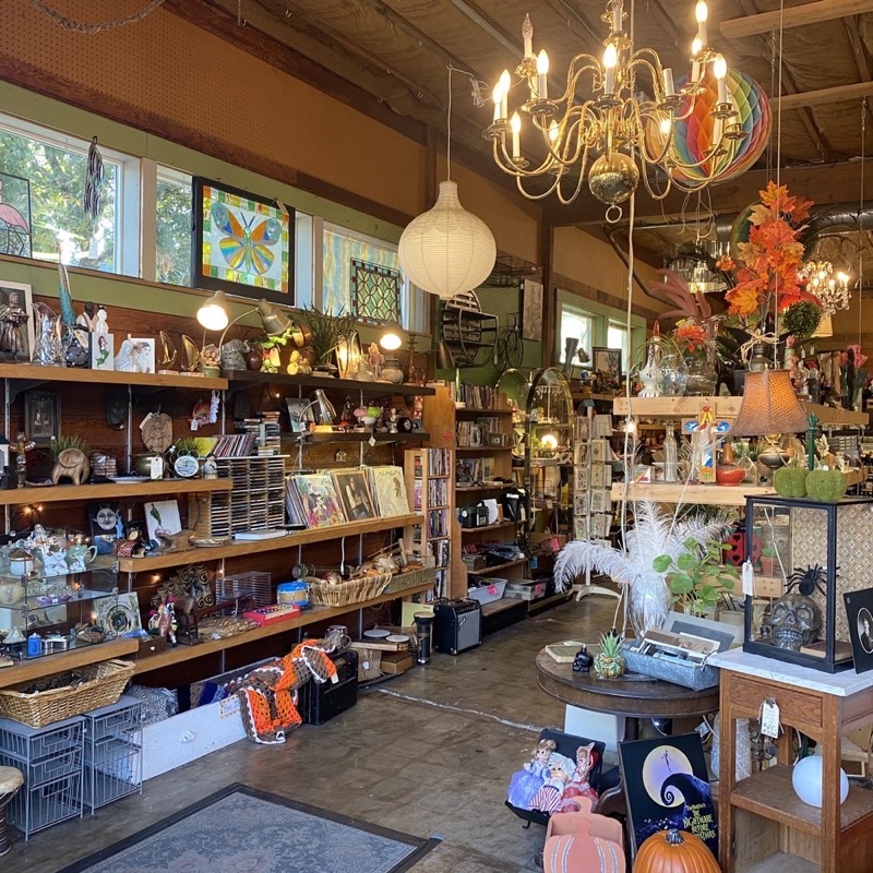 Vintage Pink in Multnomah Village — Vintage Pink is a charming boutique in Multnomah Village offering a delightful c